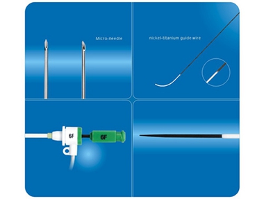 TRANSRADIAL INTRODUCER SETS