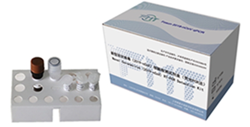 NOVEL CORONAVIRUS 2019-NCOV NUCLEIC ACID DETECTION KIT